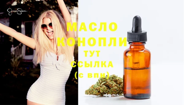 шишки Бородино