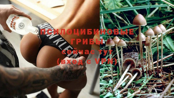 гидропоника Верея