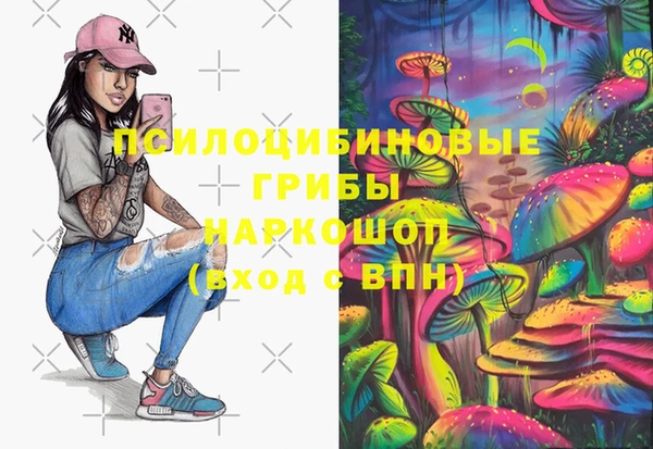 гидропоника Верея